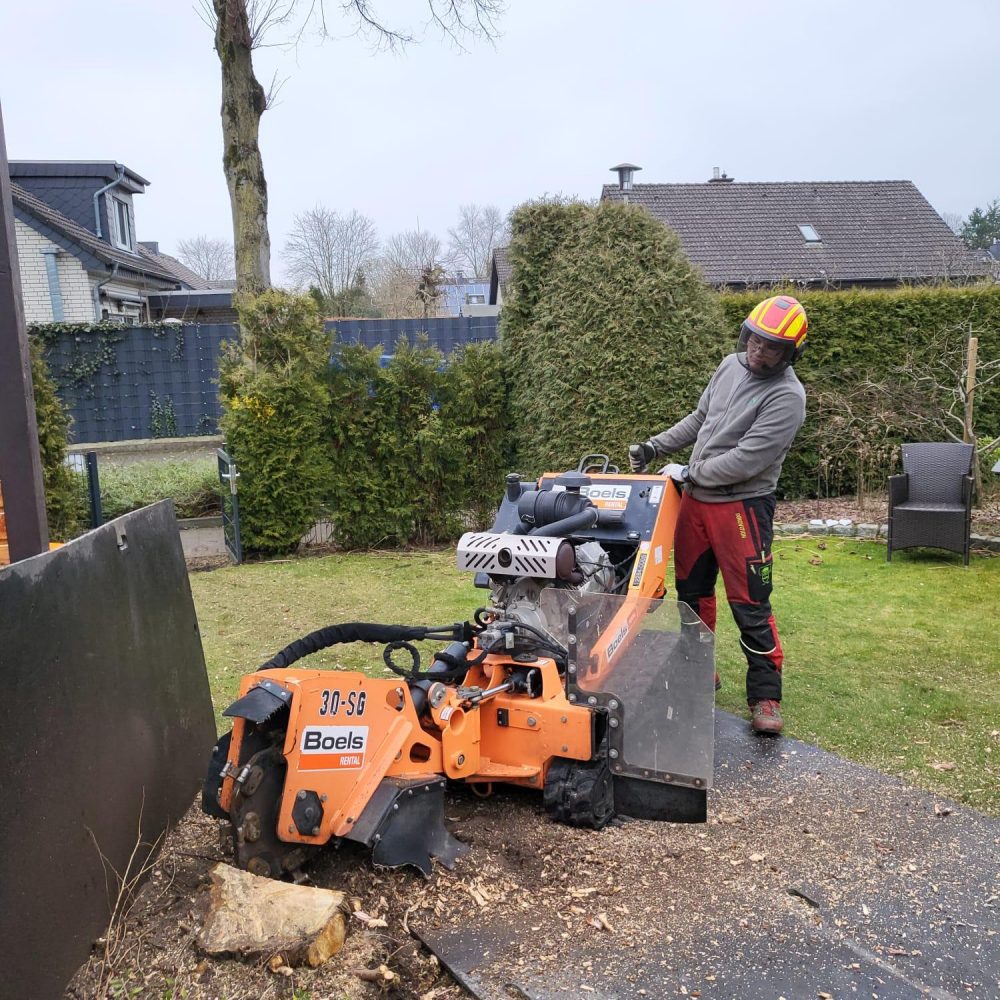 Mit der Leistungsstarken Fräse ist kein Wurzelstock ein Problem