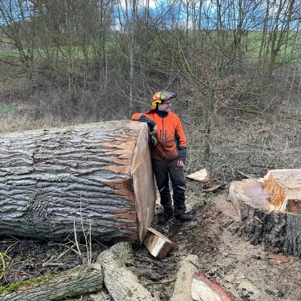 Dienstleistung Baumfällung für Nordrhein-Westfalen und Umgebung